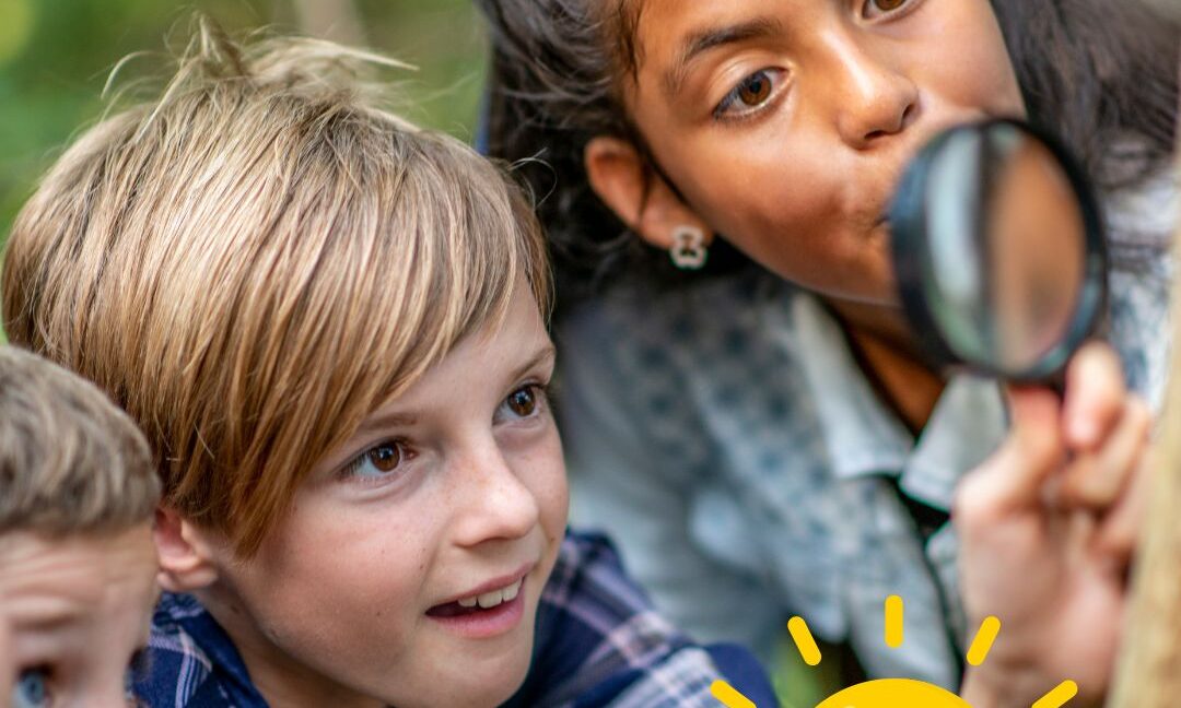 Sustaining Educational Programs